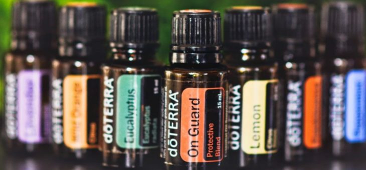 10 Reasons to Join Mandala Essentials