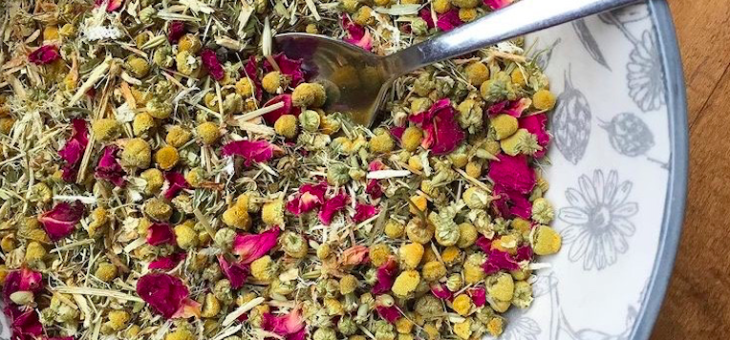 Terra Mentz of Terrasoul Herbs Sells Herbal Teas, Tinctures and Balms